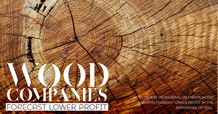 Vietnam’s wood companies forecast lower profit